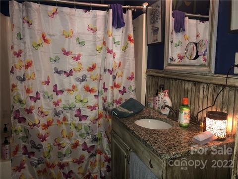 207 Mock Rd, Davidson, NC 28036 photo 17