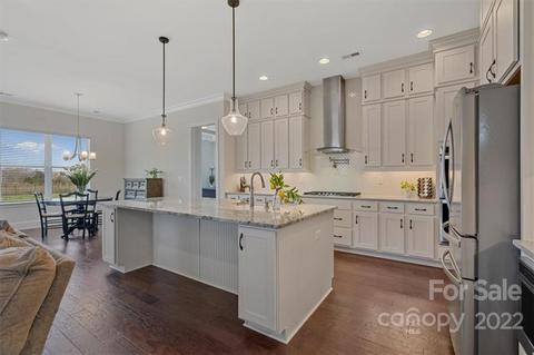 153 Riverstone Dr, Davidson, NC 28036 photo 10