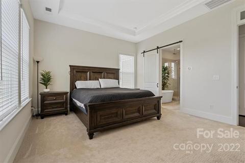 153 Riverstone Dr, Davidson, NC 28036 photo 16