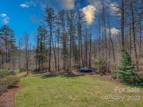 226 E Rambling Creek Dr, Tryon, NC 28782 photo 32