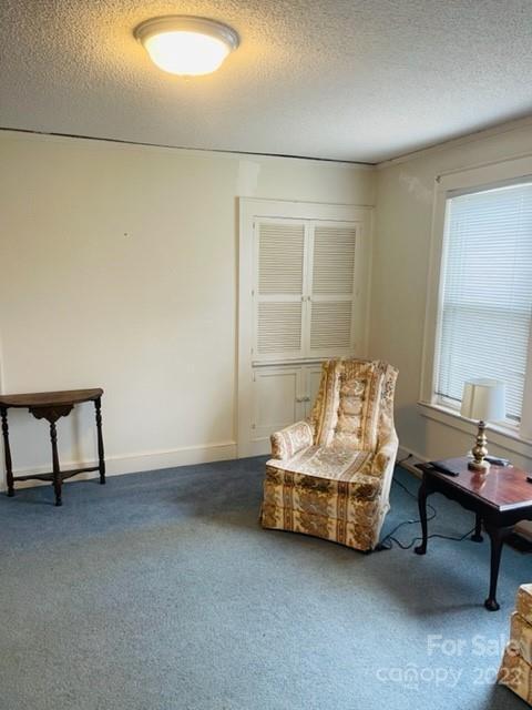 237 1st St E, Conover, NC 28613 photo 19