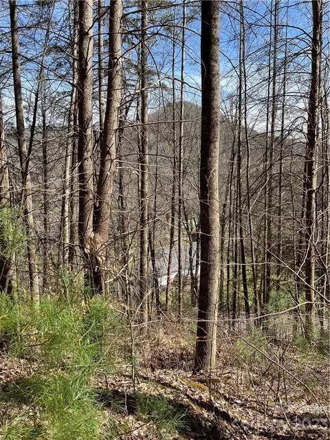 65 Running Deer Lane #65, Mars Hill, NC 28754