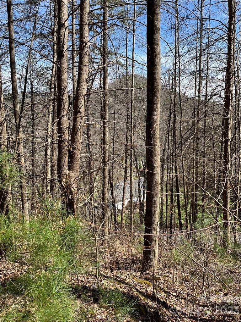 65 Running Deer Ln Unit 65  