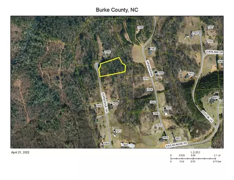 Horseshoe 40 Trail #40, Connelly Springs, NC 28612