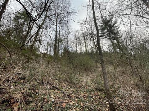 174 Brookside St, Clyde, NC 28721 photo 6