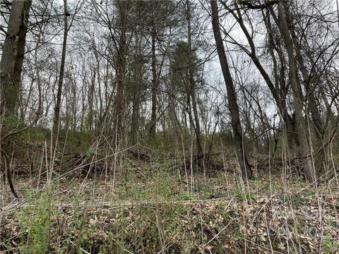 174 Brookside St, Clyde, NC 28721 photo 2