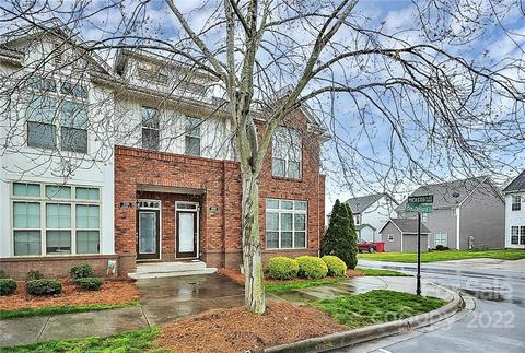 14204 Baudelaire Ct, Davidson, NC 28036 photo 3