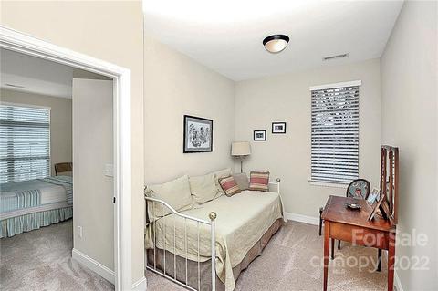 14204 Baudelaire Ct, Davidson, NC 28036 photo 28