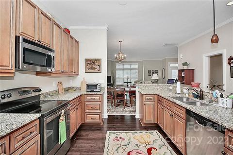 14204 Baudelaire Ct, Davidson, NC 28036 photo 19