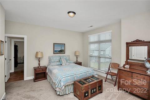 14204 Baudelaire Ct, Davidson, NC 28036 photo 30