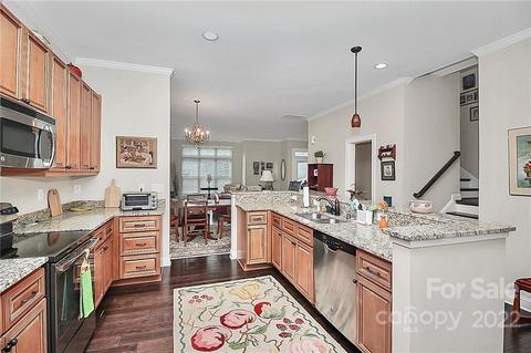 14204 Baudelaire Ct, Davidson, NC 28036 photo 18