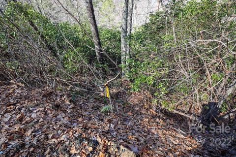 159 Gizzy Dr, Sylva, NC 28779 photo 38