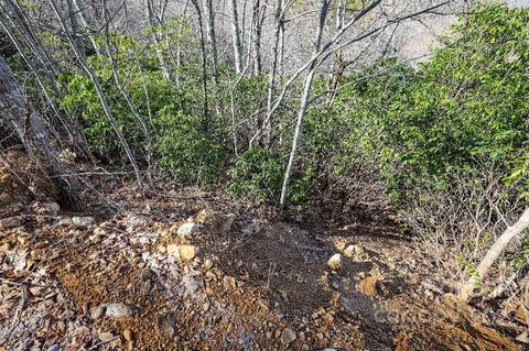 159 Gizzy Dr, Sylva, NC 28779 photo 37