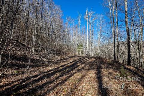 159 Gizzy Dr, Sylva, NC 28779 photo 48