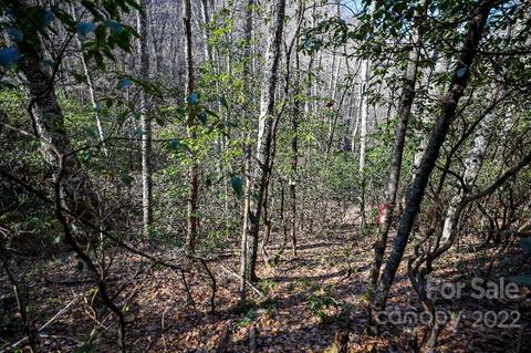 159 Gizzy Dr, Sylva, NC 28779 photo 41