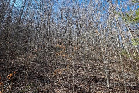 159 Gizzy Dr, Sylva, NC 28779 photo 46
