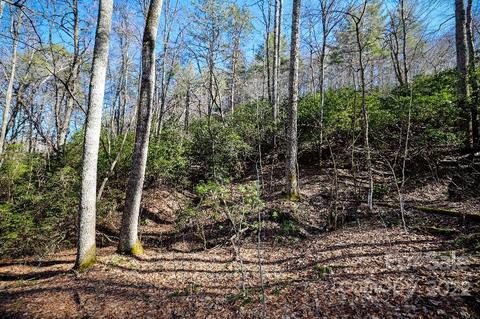 159 Gizzy Dr, Sylva, NC 28779 photo 15