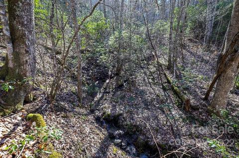 159 Gizzy Dr, Sylva, NC 28779 photo 43