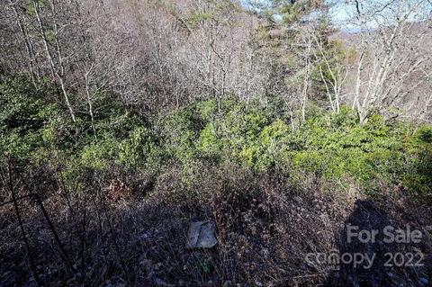 159 Gizzy Dr, Sylva, NC 28779 photo 34