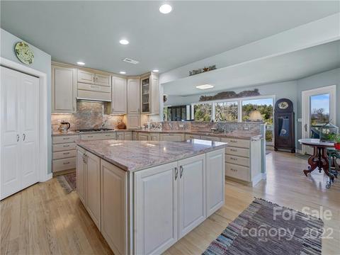 1706 Eagle Lake Dr, Brevard, NC 28712 photo 9
