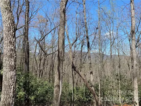 9 Lytle Mountain Road #9, Marion, NC 28752