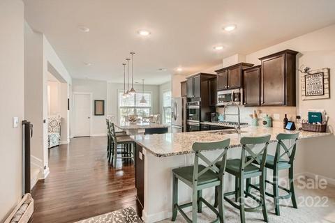 13311 Caite Ridge Rd, Davidson, NC 28036 photo 4