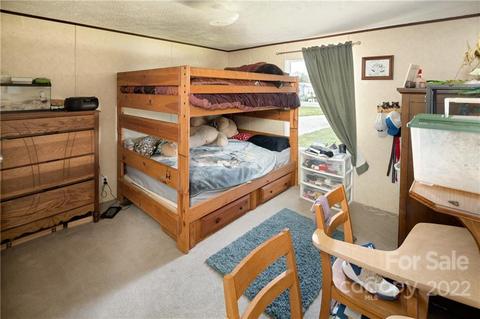 184 Albert Dr, Flat Rock, NC 28731 photo 17