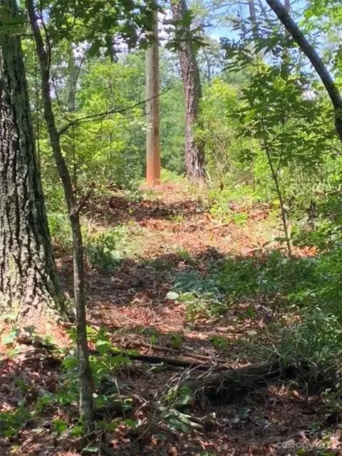 3 42 Acres Lot 1 John Wilson Ln #1, Collettsville, NC 28611