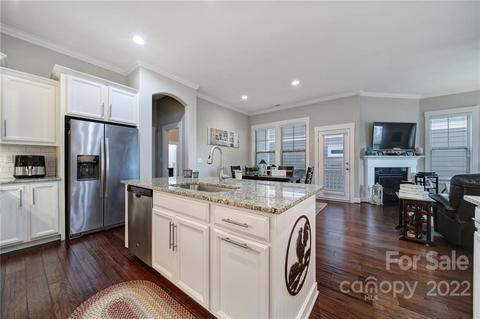 12428 Bradford Park Dr, Davidson, NC 28036 photo 5