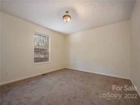 656 Firefly Ln, Saluda, NC 28773 photo 17