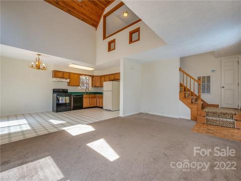 656 Firefly Ln, Saluda, NC 28773 photo 8