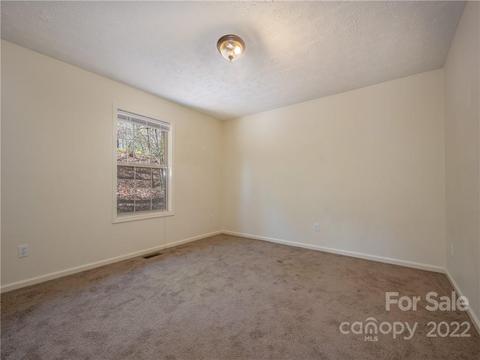 656 Firefly Ln, Saluda, NC 28773 photo 18