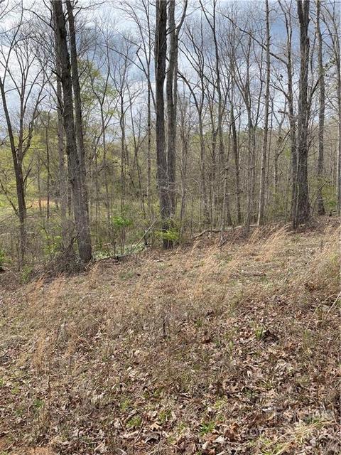 4058 Coxe Rd, Tryon, NC 28782 photo 12
