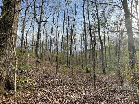 4058 Coxe Rd, Tryon, NC 28782 photo 9