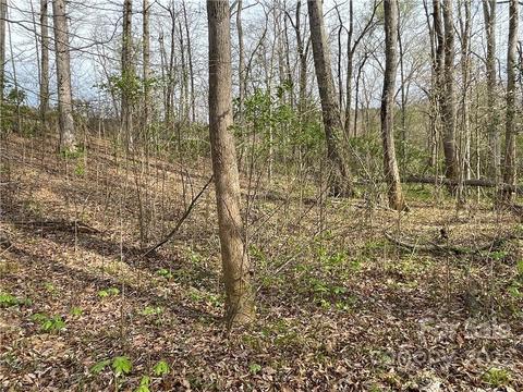 4058 Coxe Rd, Tryon, NC 28782 photo 17