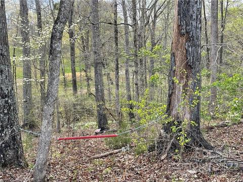 4058 Coxe Rd, Tryon, NC 28782 photo 15