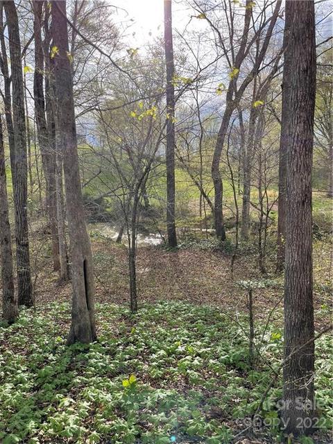 4058 Coxe Rd, Tryon, NC 28782 photo 10