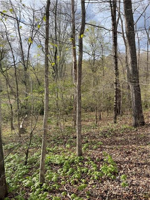 4058 Coxe Rd, Tryon, NC 28782 photo 24