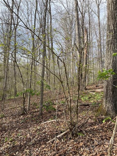 4058 Coxe Rd, Tryon, NC 28782 photo 28