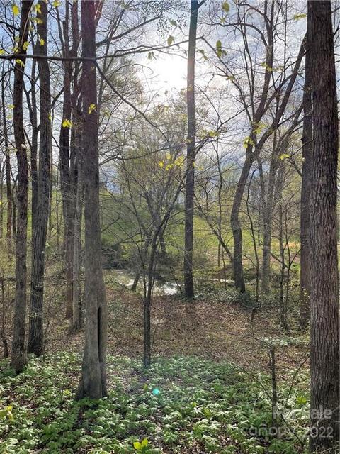 4058 Coxe Rd, Tryon, NC 28782 photo 30
