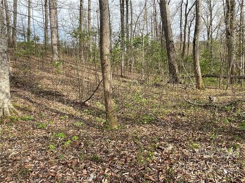 4058 Coxe Rd, Tryon, NC 28782 photo 13