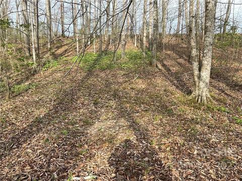 4058 Coxe Rd, Tryon, NC 28782 photo 11