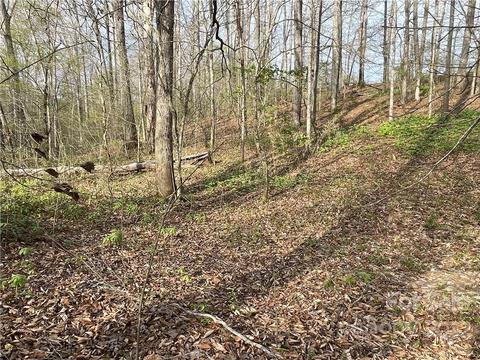 4058 Coxe Rd, Tryon, NC 28782 photo 16