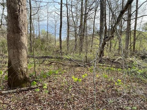 4058 Coxe Rd, Tryon, NC 28782 photo 14