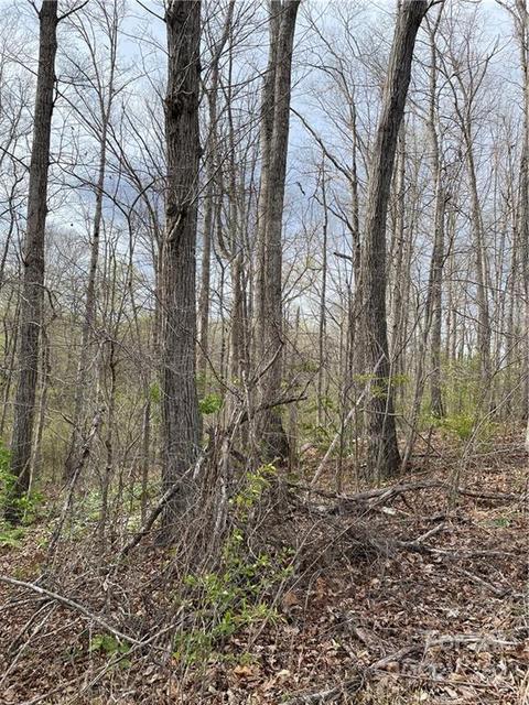 4058 Coxe Rd, Tryon, NC 28782 photo 29