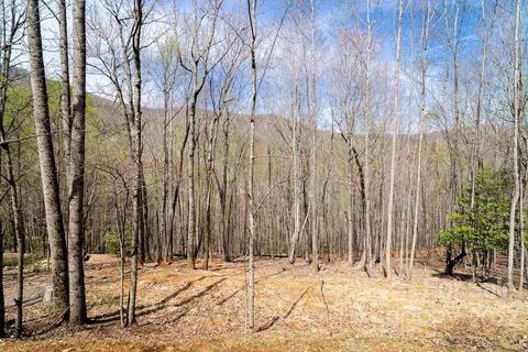 808 Stoney Stream Ln, Arden, NC 28704