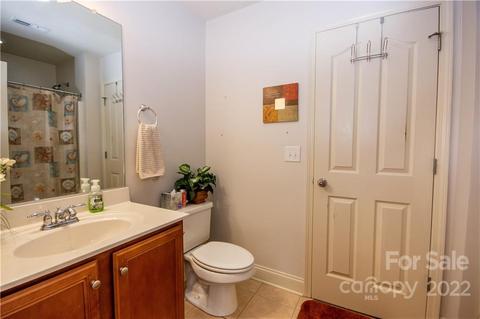 19442 Battery St, Cornelius, NC 28031 photo 20