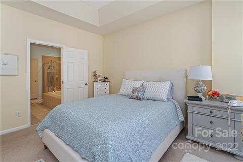 543 Beaty St, Davidson, NC 28036 photo 17