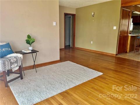 184 188 Trantham Rd, Canton, NC 28716 photo 23