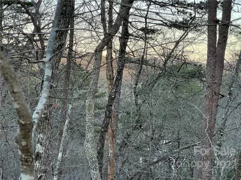 Eagles Avenue, Lake Lure, NC 28746